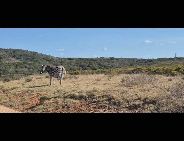 LAND FOR SALE IN OUTENIQUASBOSCH